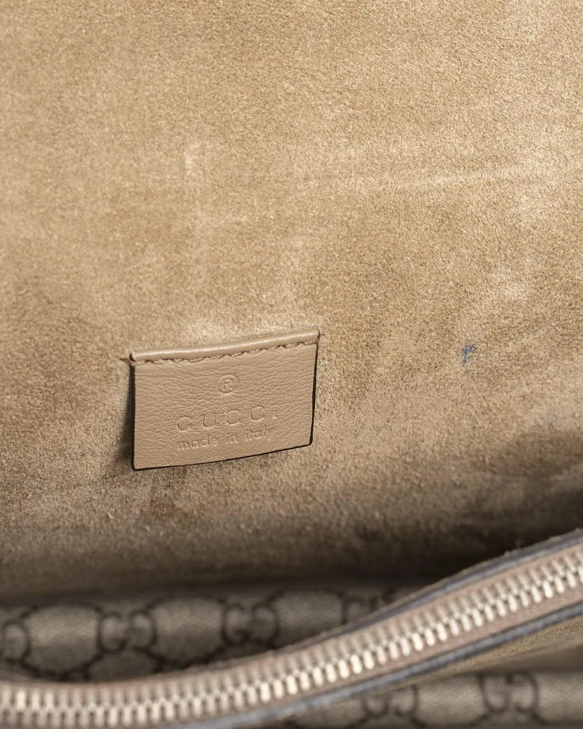 Gucci Sequin Large 2016 Dionysus Bag - AGL1418
