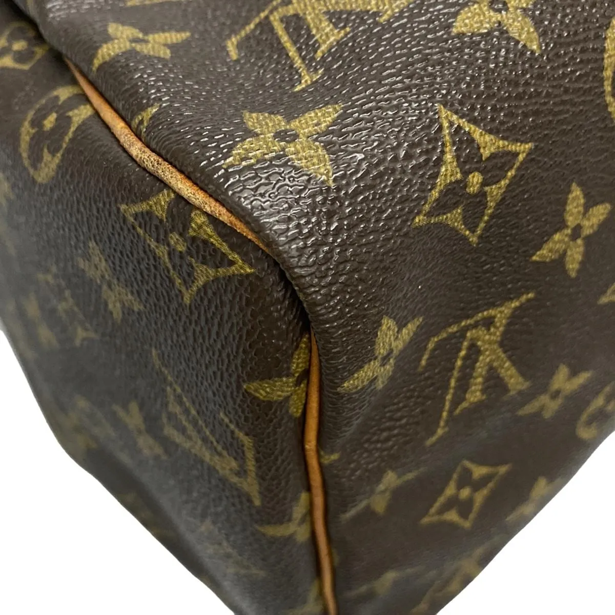 Louis Vuitton Speedy 30 Monogram
