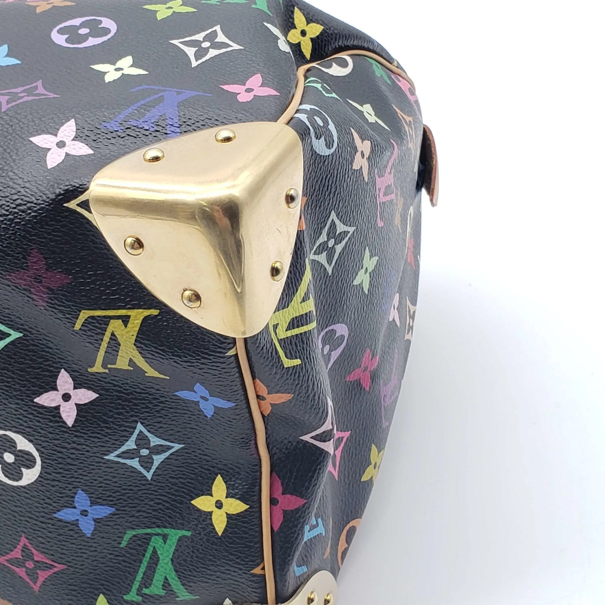 Louis Vuitton Speedy 30 Multicolor Hand Bag