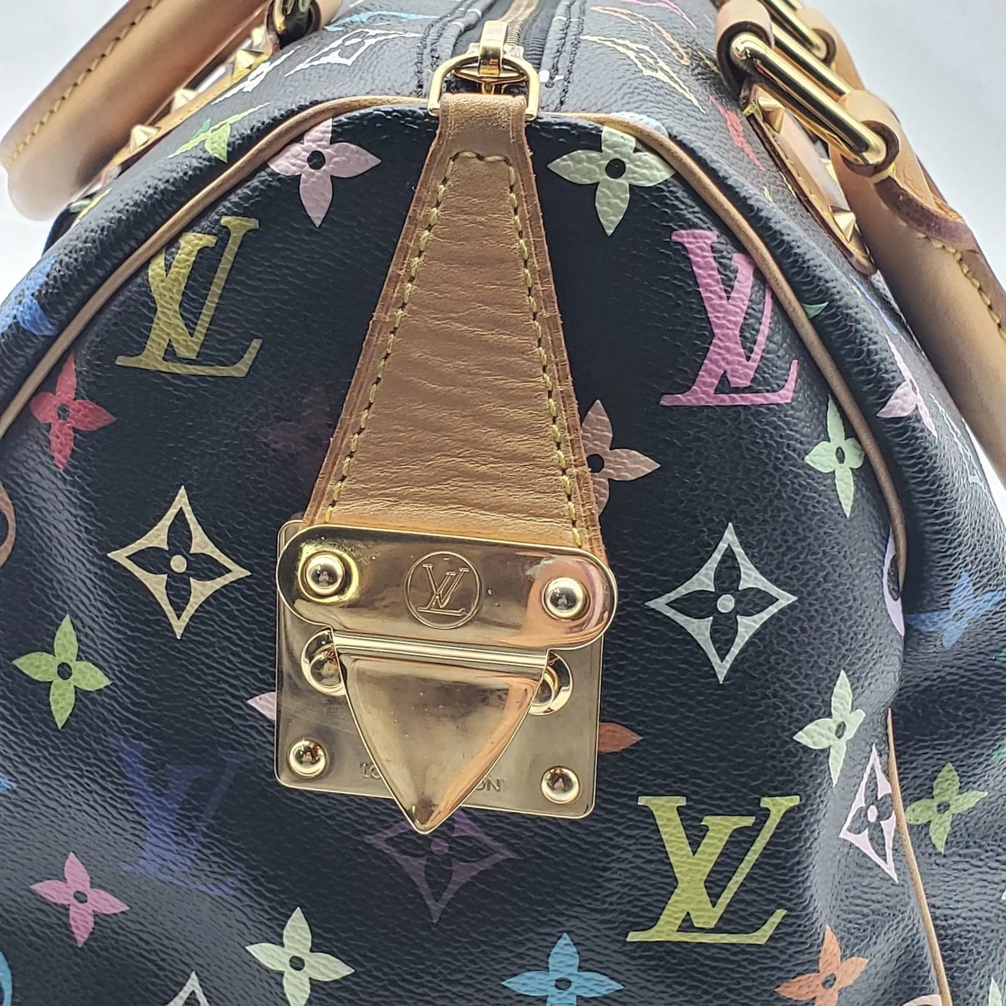 Louis Vuitton Speedy 30 Multicolor Hand Bag