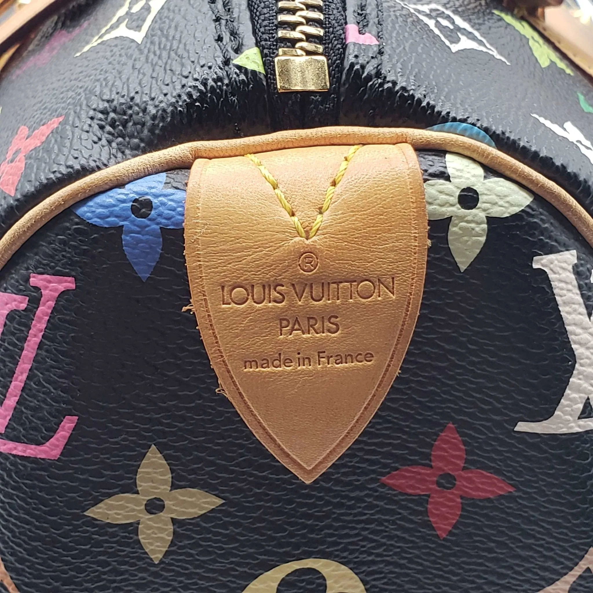 Louis Vuitton Speedy 30 Multicolor Hand Bag