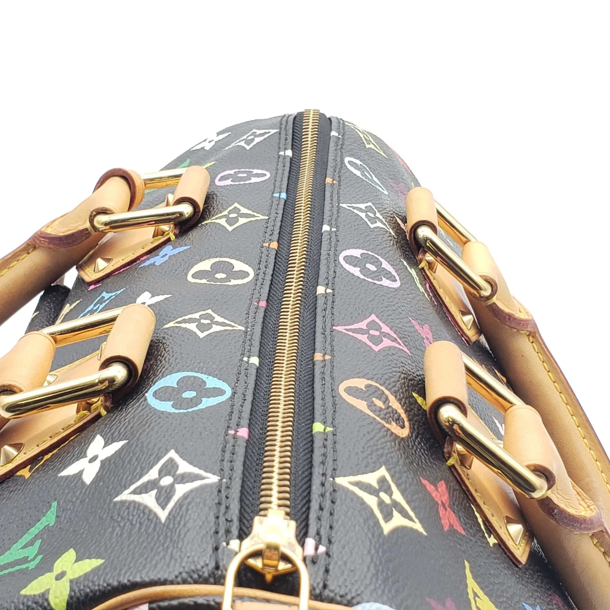 Louis Vuitton Speedy 30 Multicolor Hand Bag