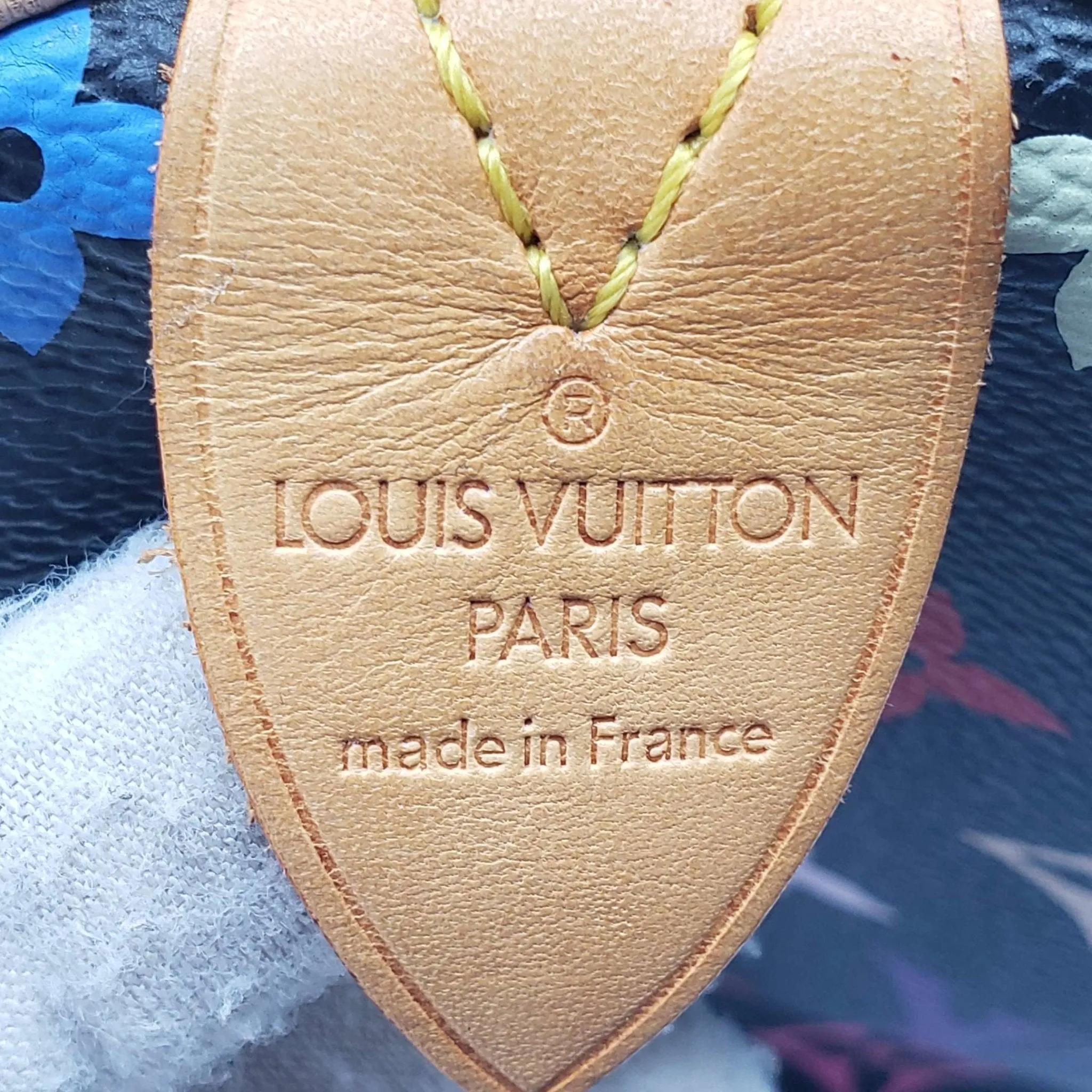 Louis Vuitton Speedy 30 Multicolor Hand Bag