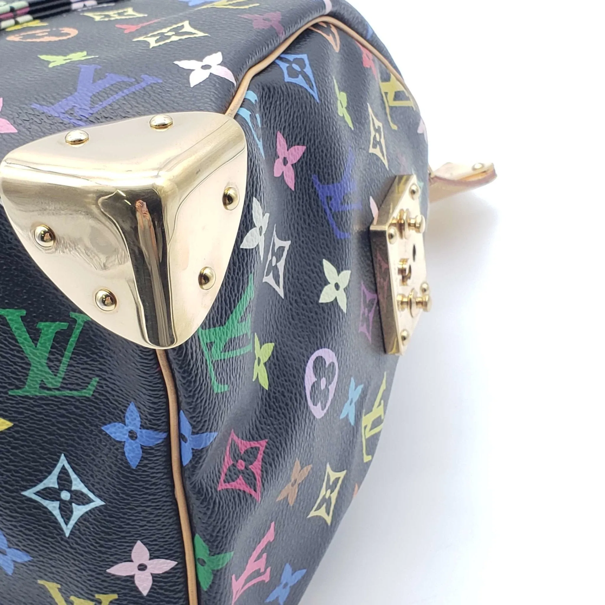 Louis Vuitton Speedy 30 Multicolor Hand Bag