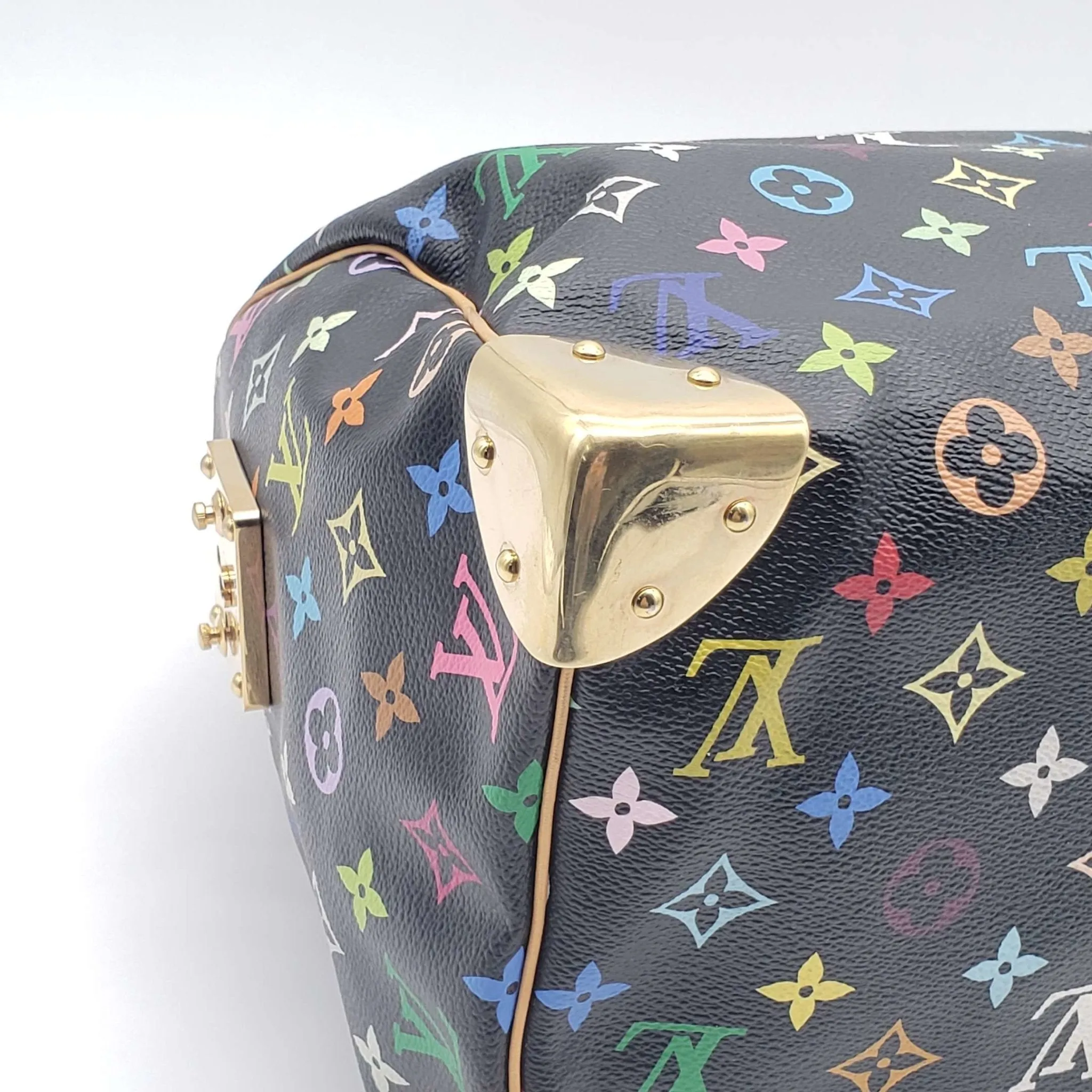 Louis Vuitton Speedy 30 Multicolor Hand Bag